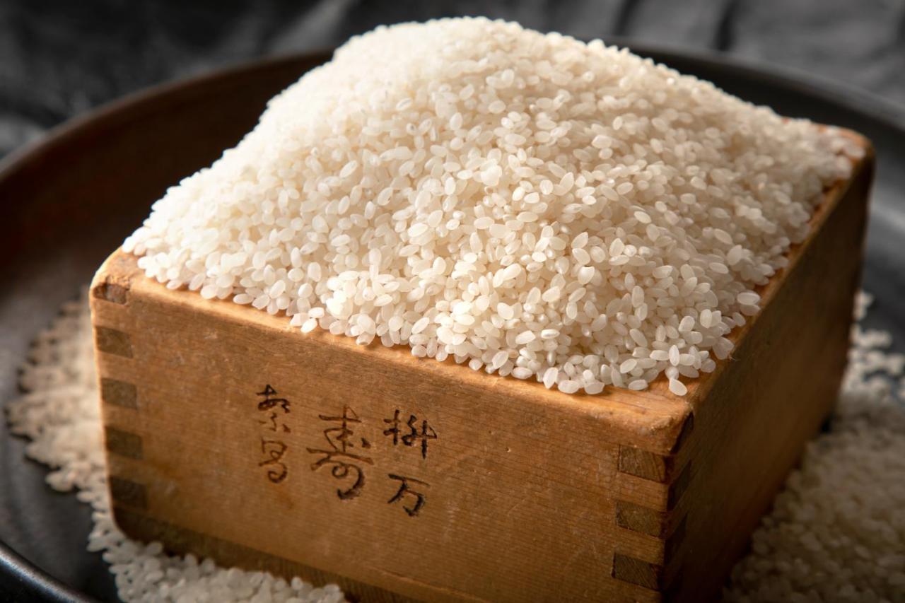 京都城市酒店 外观 照片